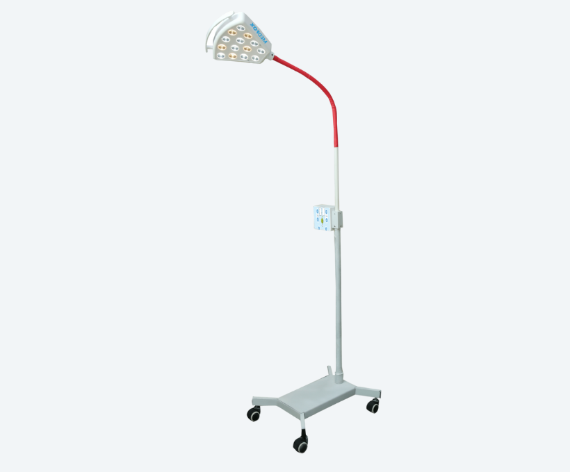 lily-1-examination-light
